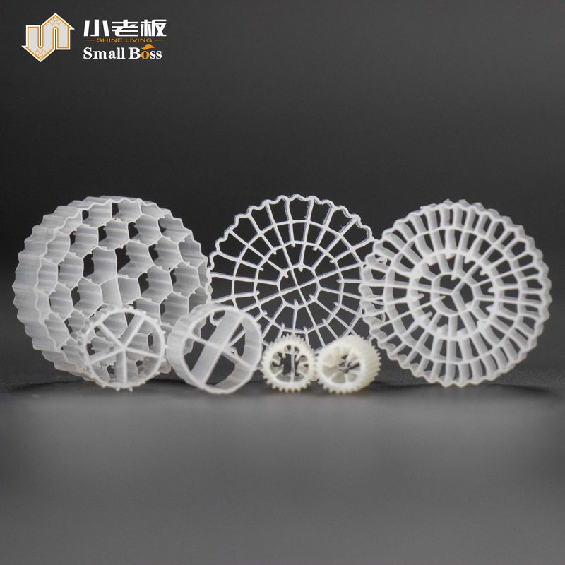 Active Mould MBBR Biomass Filter 25*10mm 38 Rooms Aquatic Salmon Land Based Aquaculture Floating Carrier