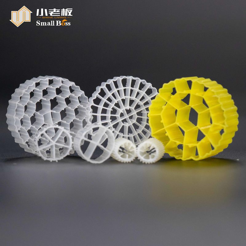 Active Mould MBBR Biomass Filter 25*10mm 38 Rooms Aquatic Salmon Land Based Aquaculture Floating Carrier