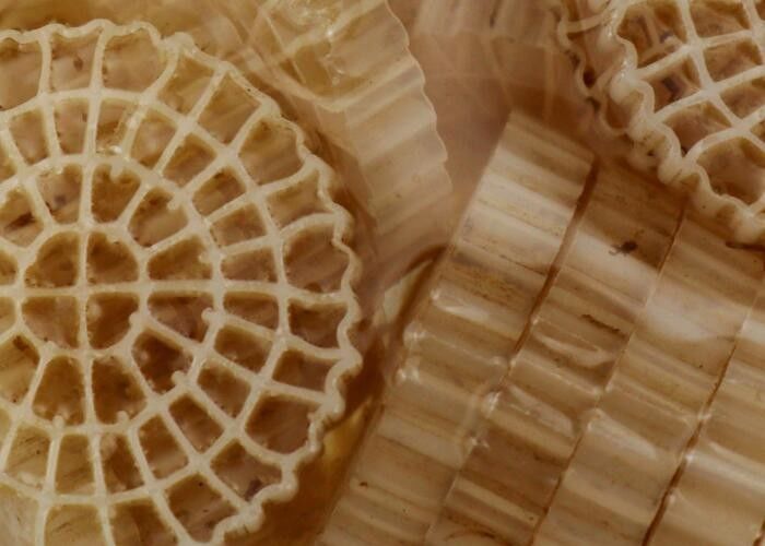 Virgin HDPE Material MBBR Plastic Bio Filter Media With Good Surface Area