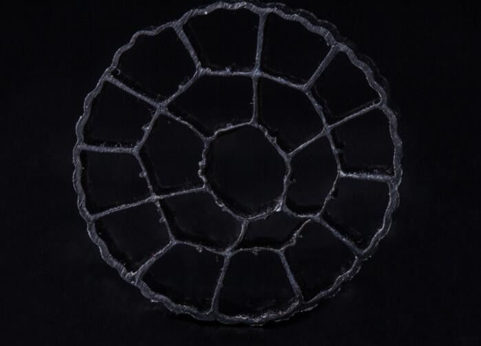 HDPE Material PE06 Bio Media , MBBR Filter Media 25mm X 12mm Colorful